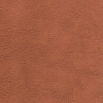 EXCLUSIV COGNAC final