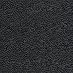 MARANA DOLLARO CRNA final