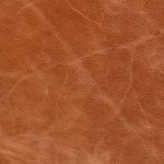 NEW FOREST COGNAC final