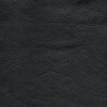 NEW FOREST NERO final