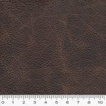 OLD BROWN final scale