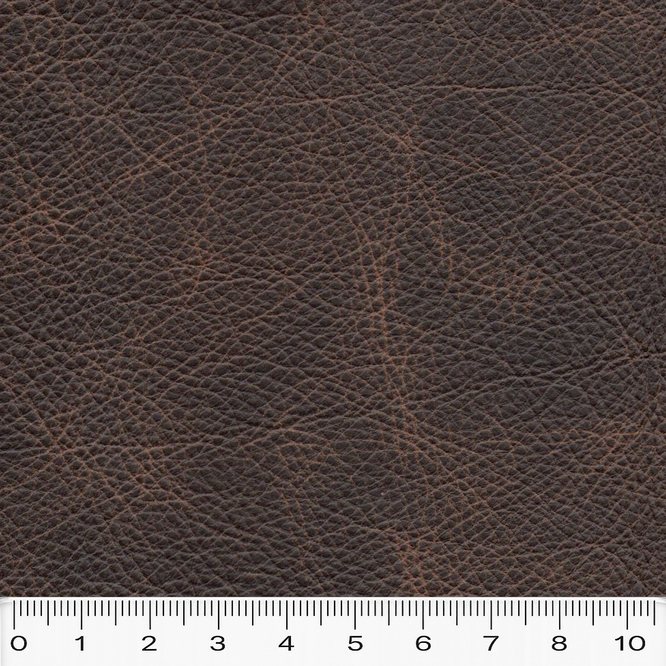 OLD BROWN final scale OLD BROWN final scale