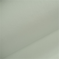 dollaro 02 swatch