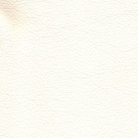 MARANA 100 final (Custom)