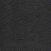 MARANA DOLLARO CRNA final (Custom)