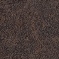 OLD BROWN final (Custom)